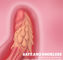 メスのMasturbatorのClitoral刺激は現実的なシリコーンの陰茎を押し出す220mm Tureの感じの張形をもてあそぶ